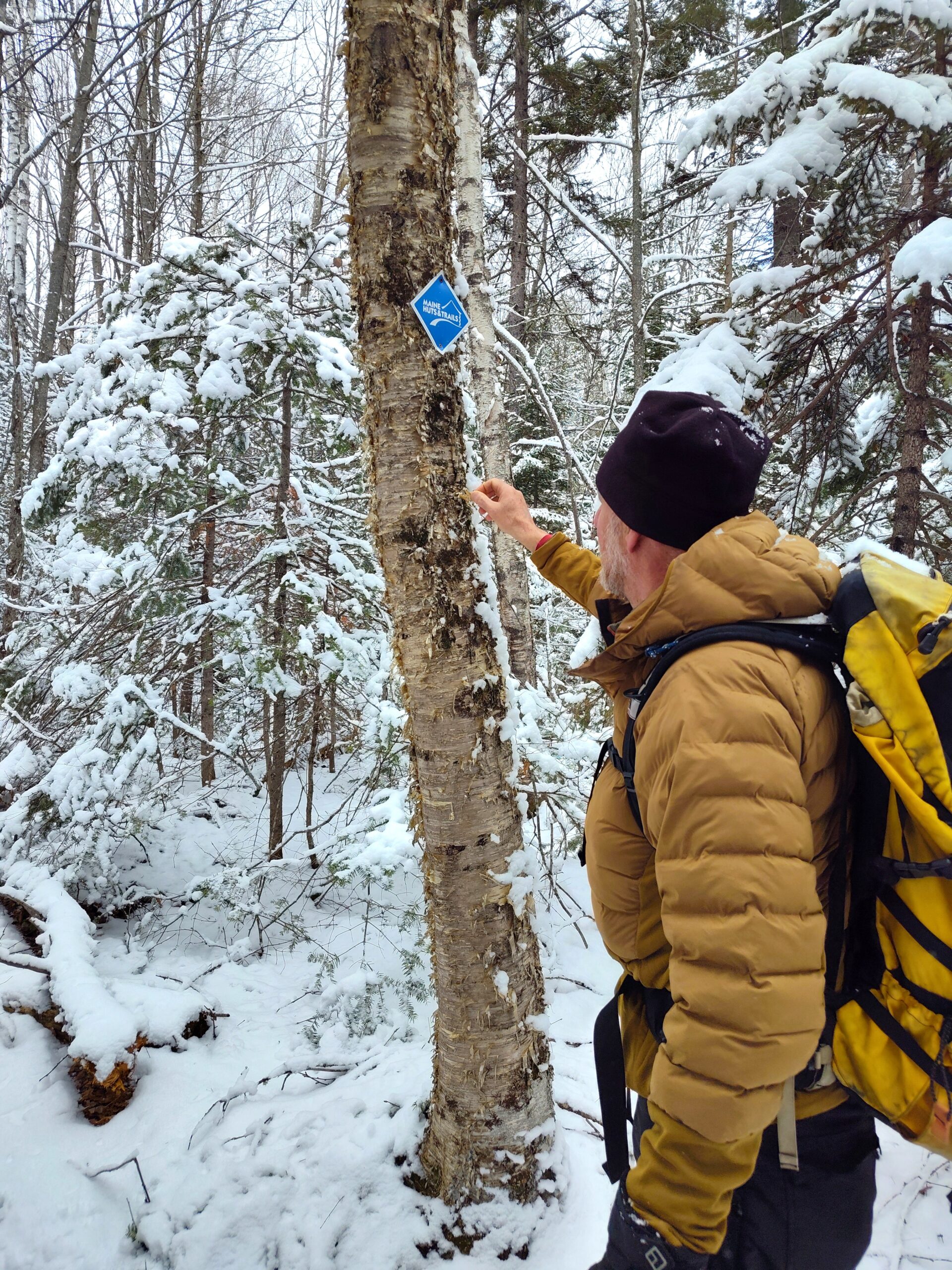 Tracks and Trees guided snowshoe with Bob Duport.