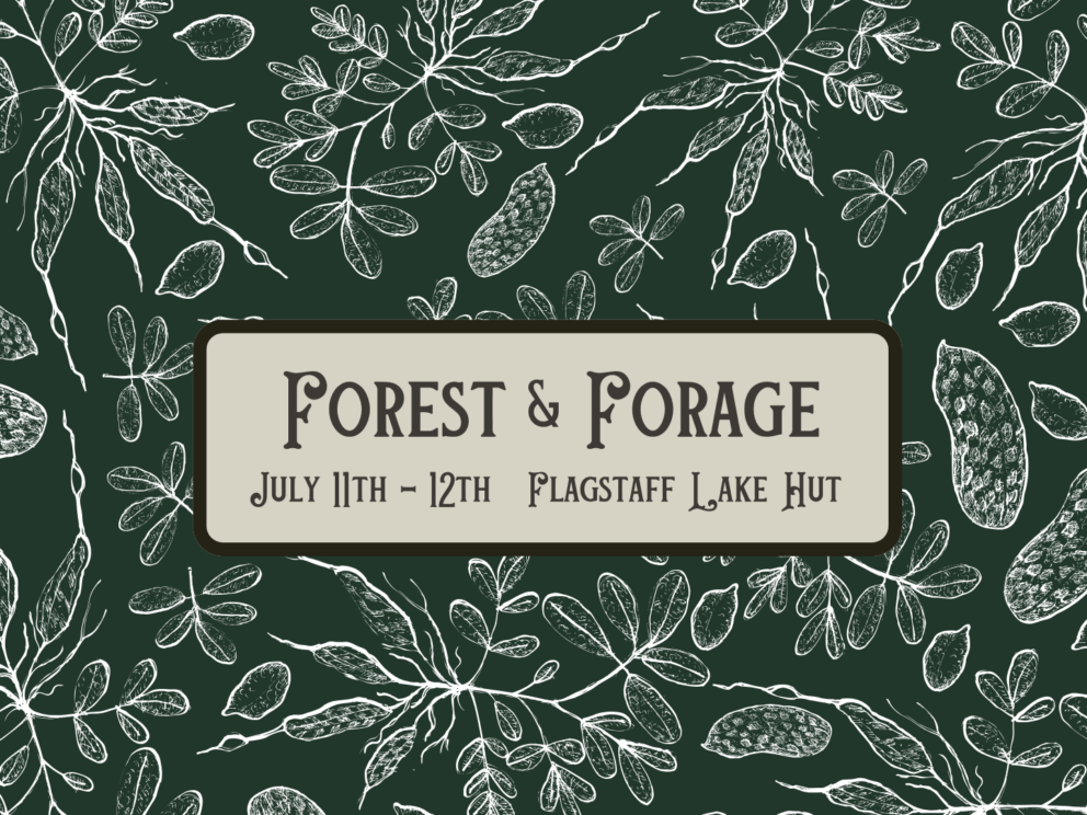 Forest & Forage Logo 2026