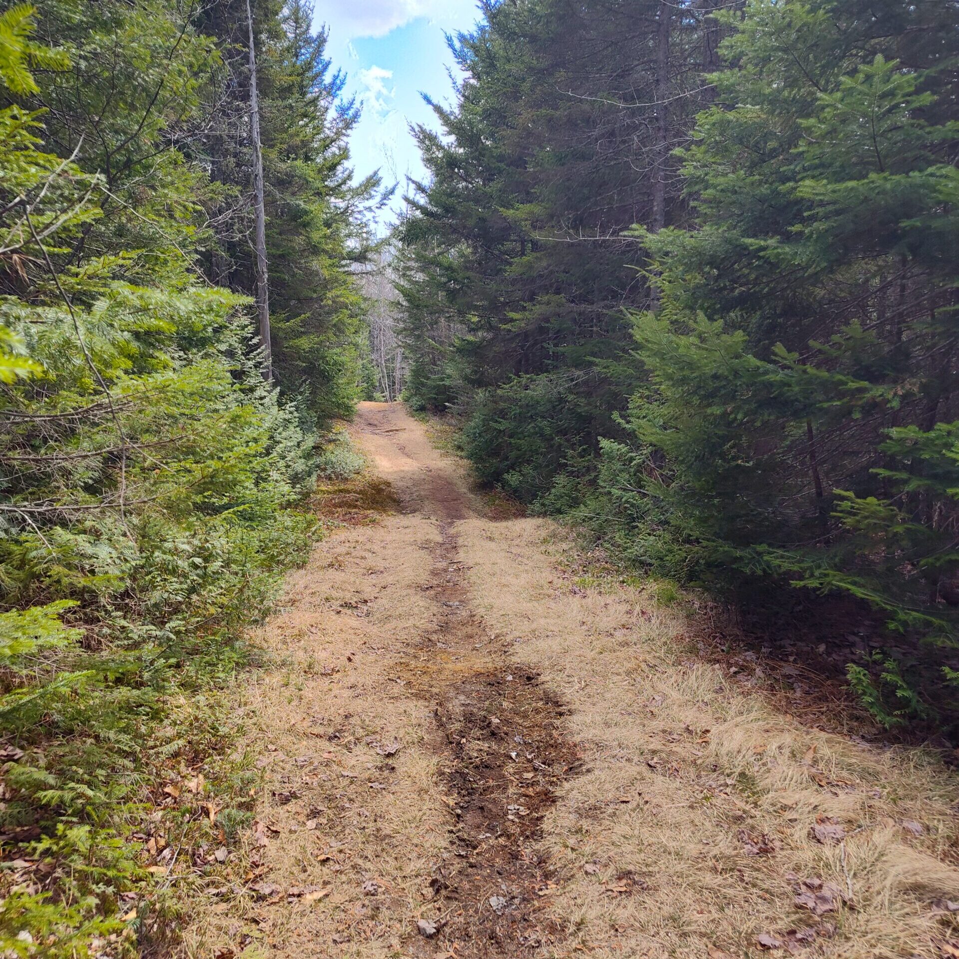 Flagstaff Trailhead Connector