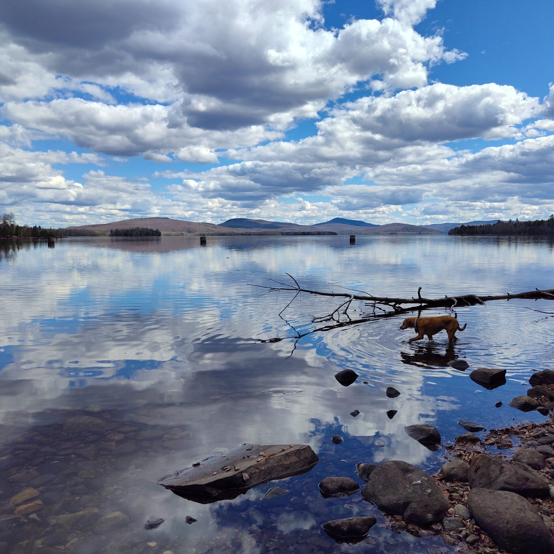 Flagstaff Lake