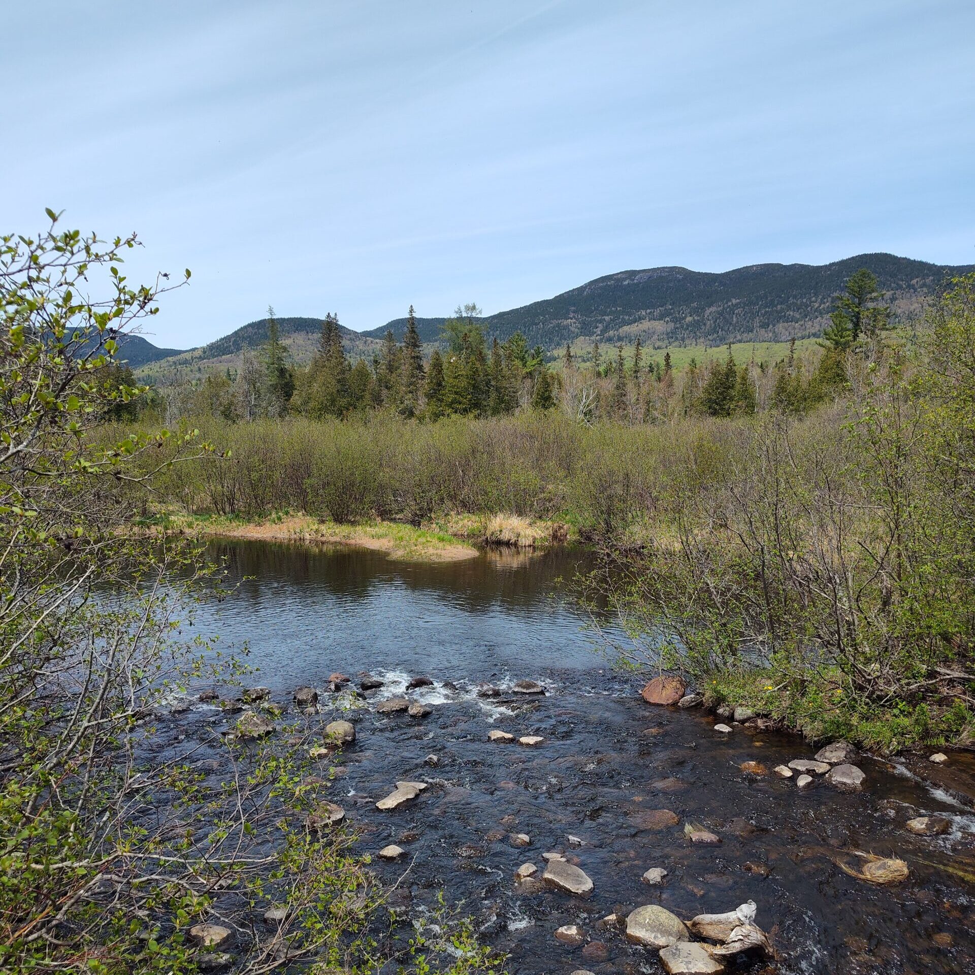 Stratton Brook Pond