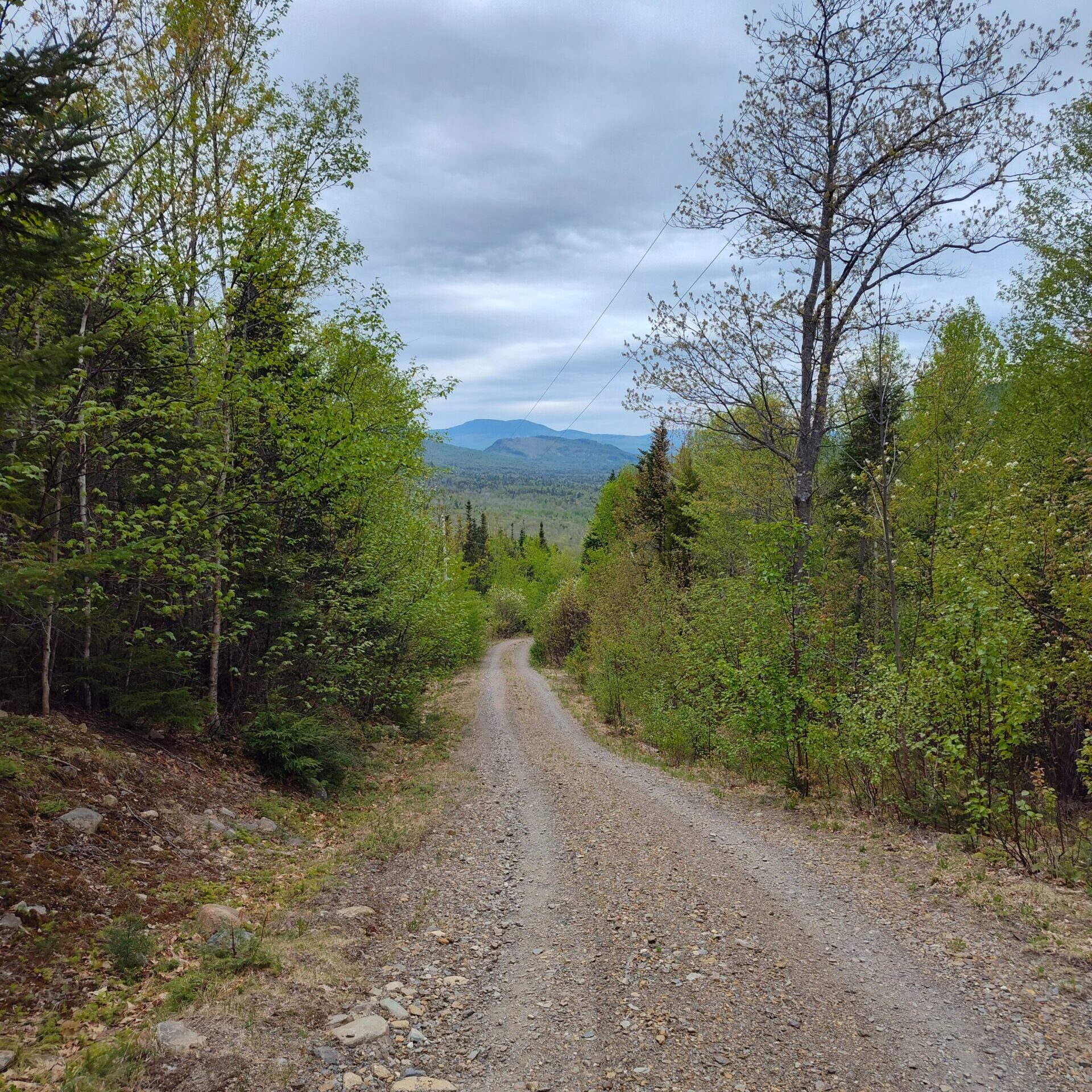 Stratton Brook Hut service road