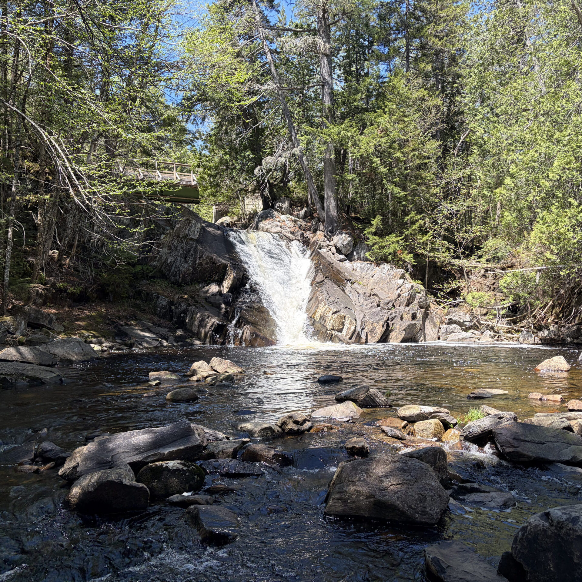 Poplar Stream Falls