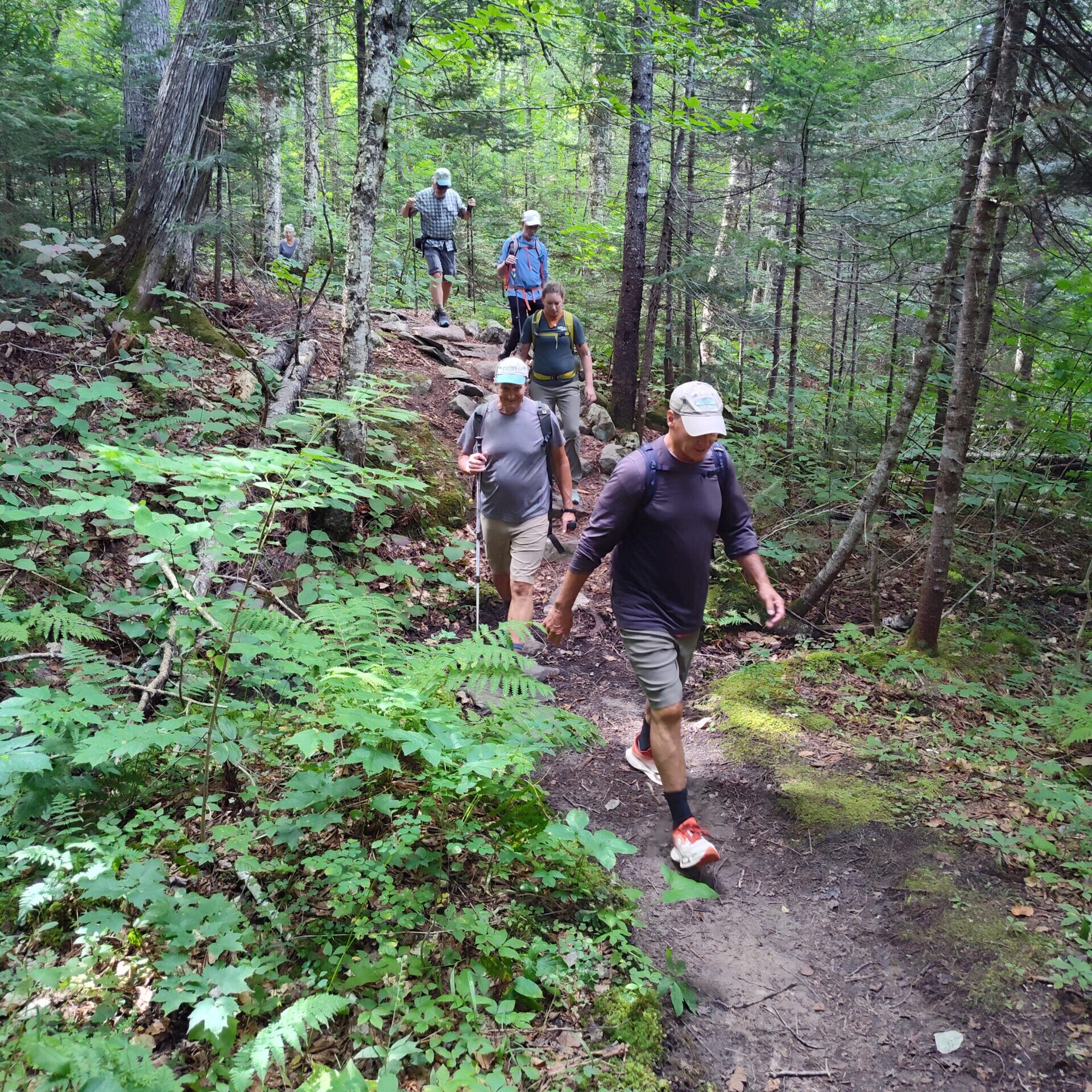 Larry's Trail