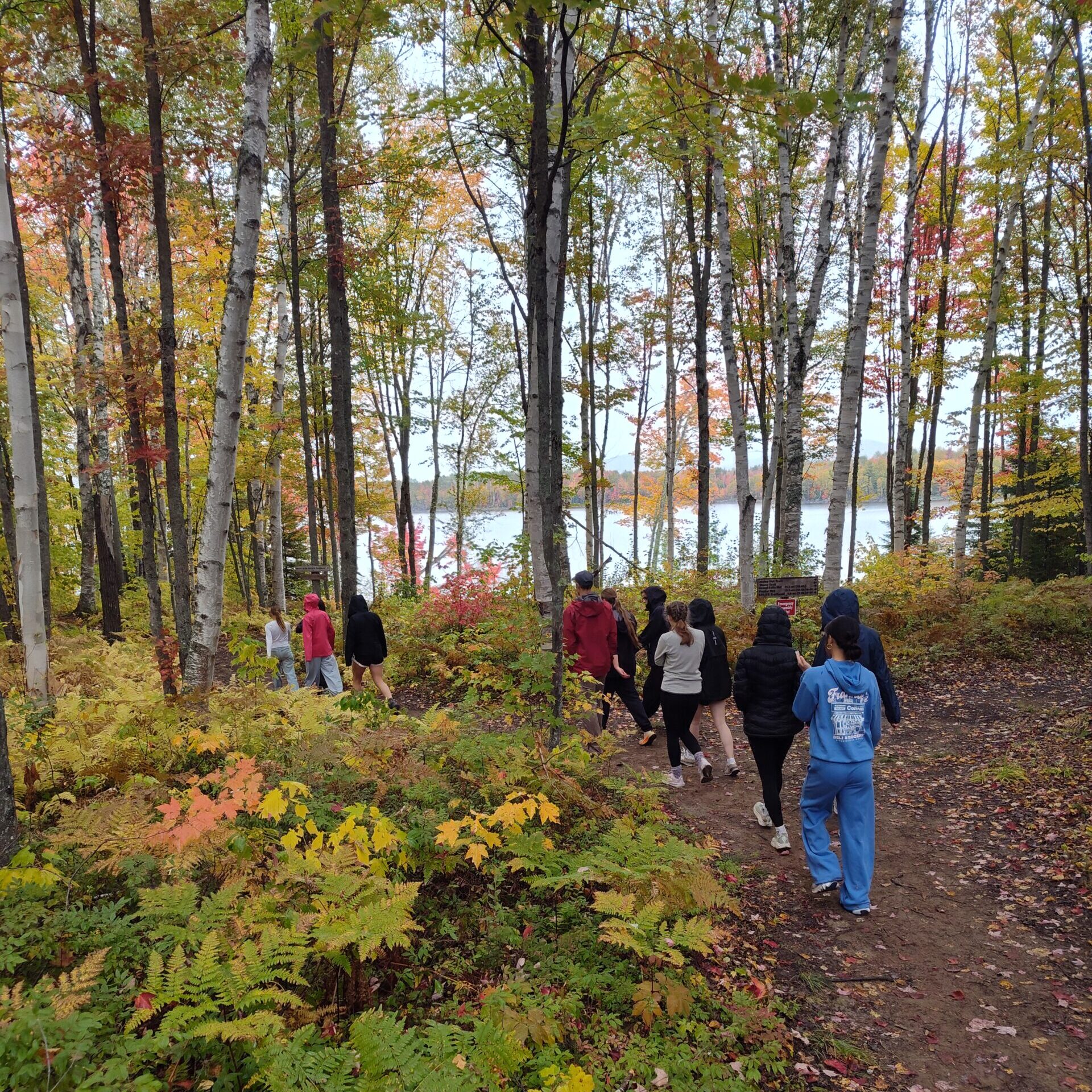 Shore Trail