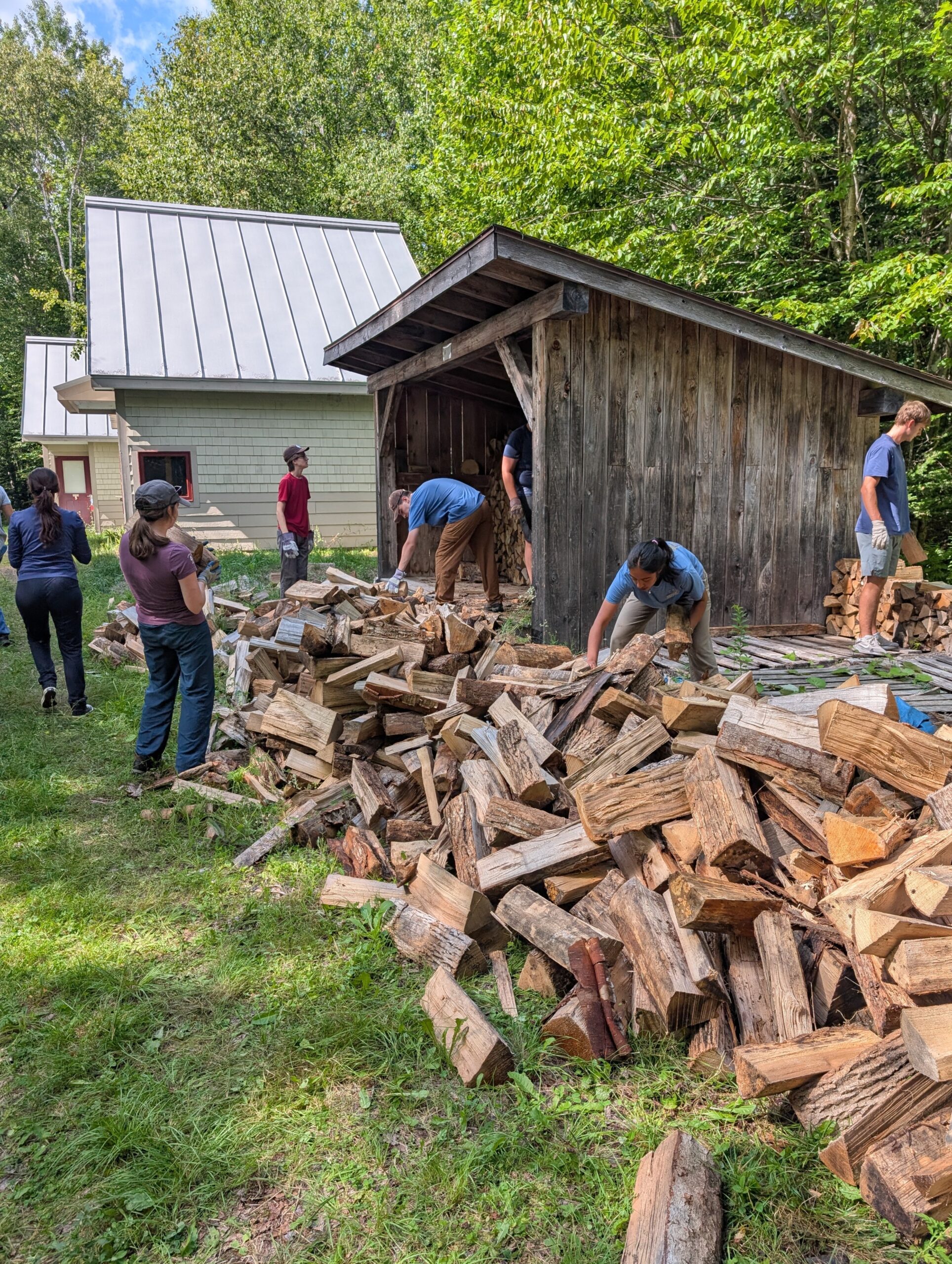 Bowdoin College volunteer wood stacking.