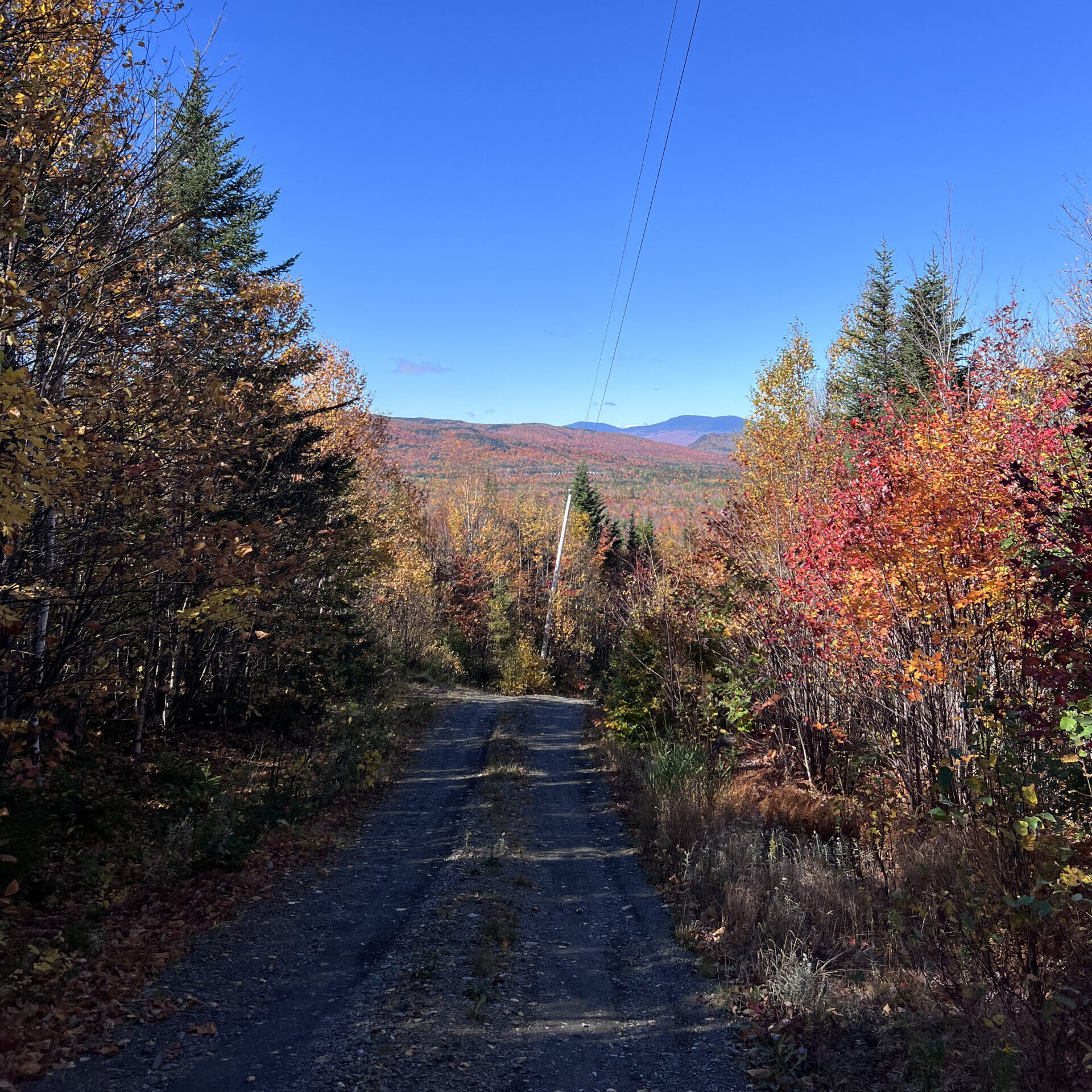 Stratton Brook Hut service road